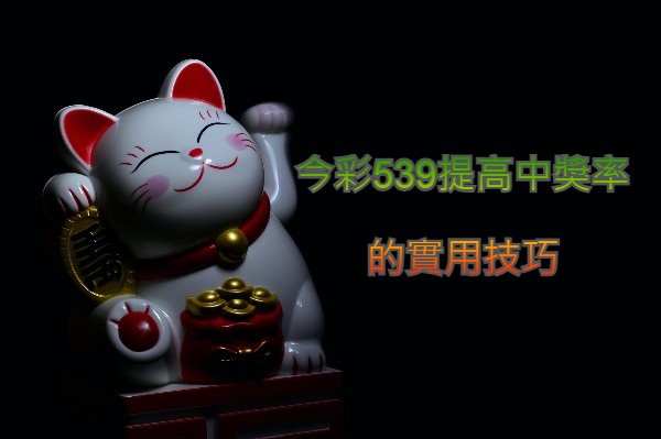 今彩539提高中獎率的實用技巧